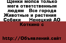 Щенки мопса только мега-ответственным людям - Все города Животные и растения » Собаки   . Ненецкий АО,Коткино с.